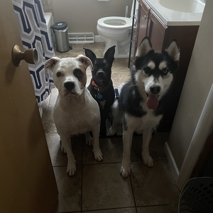 Fundraising Page: Madalyn Boutdy